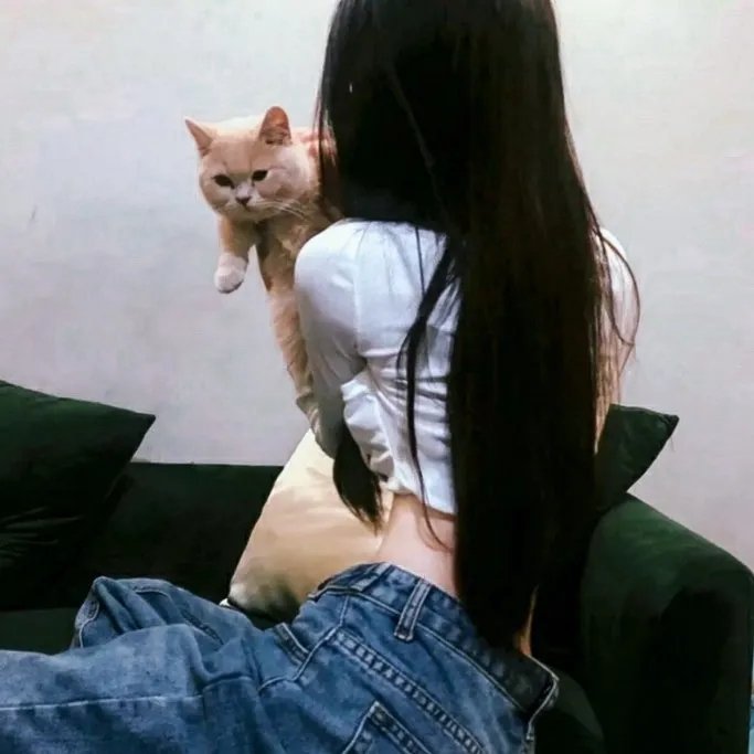 情冷芳心