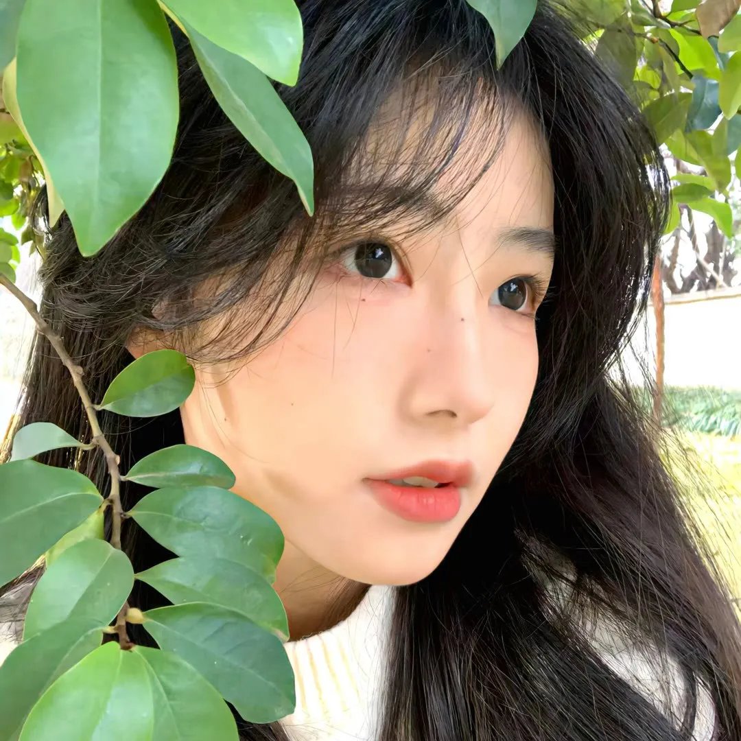 追星星的人2